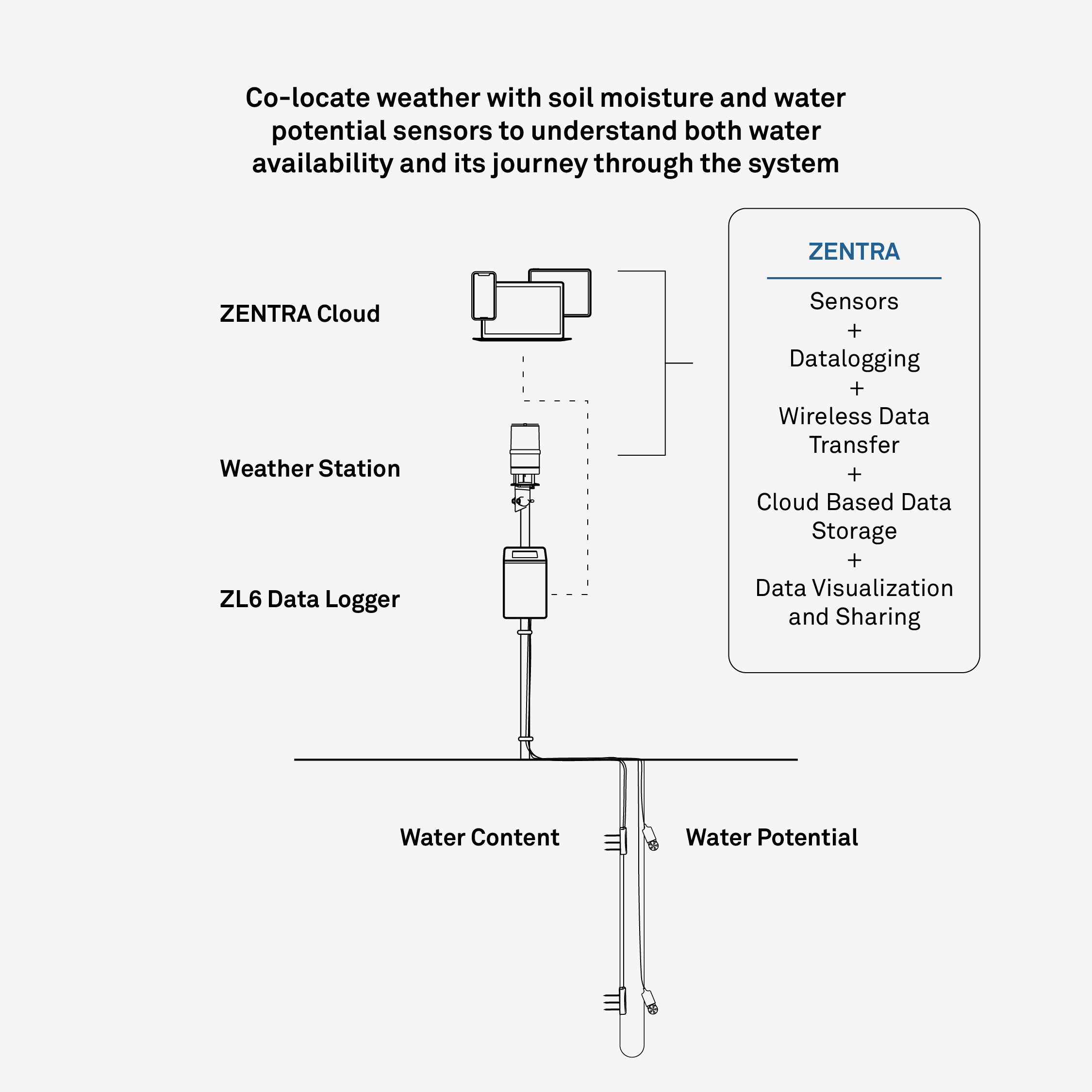 Source: METER™