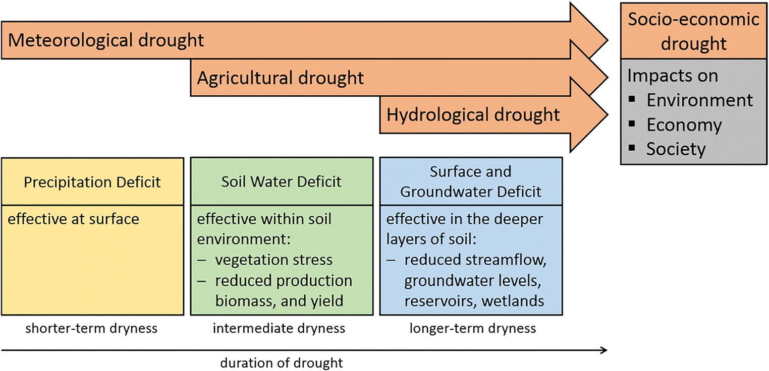 Source: Laura Crocetti et al., 2020