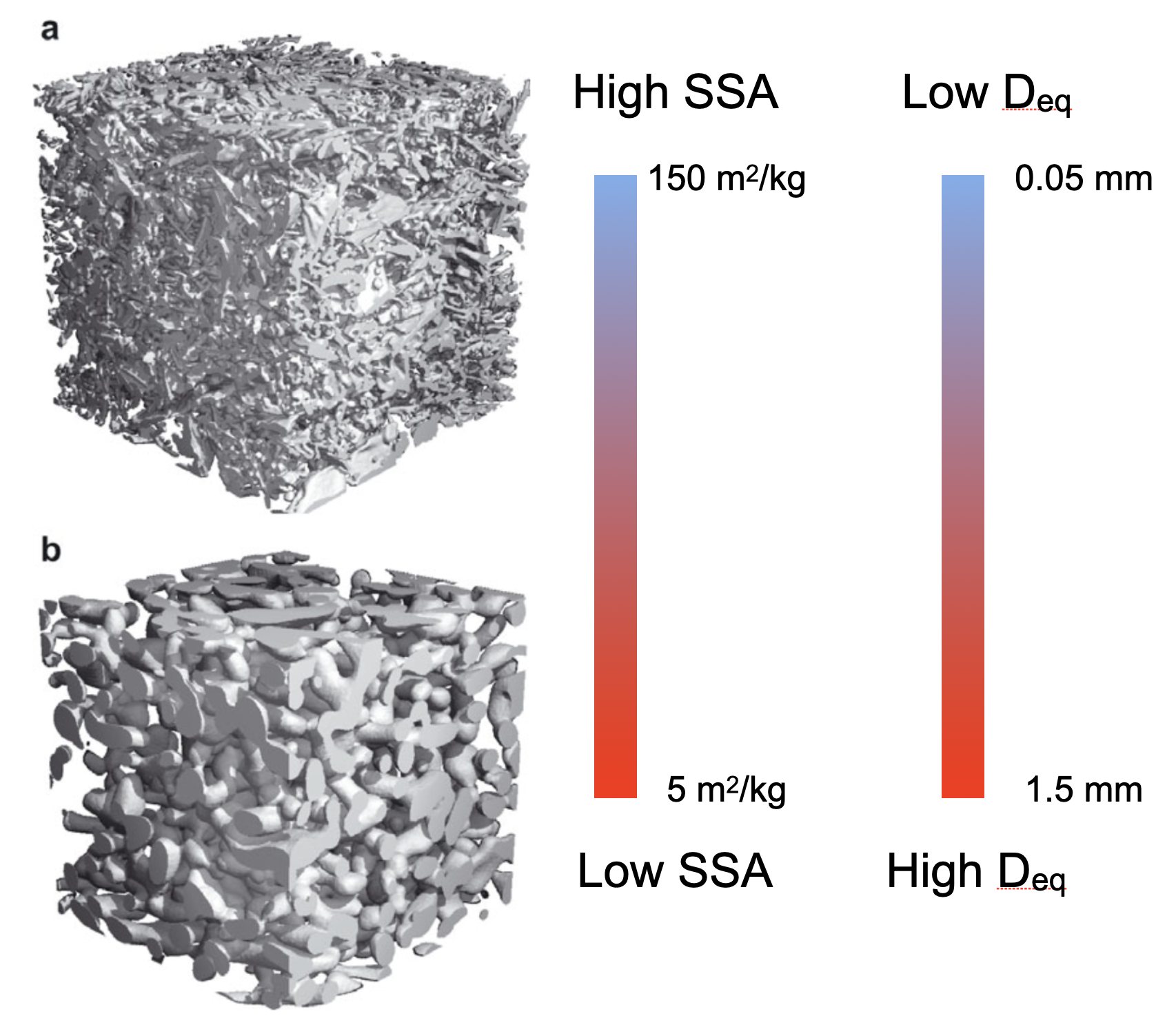 Coarse and fine snow microstructure revealed by microCT. The microCT snow renderings on the left are Figure 2 from . The colorbars indicate that fine-grained snow (a) has high SSA and low Deq, whereas coarse-grained snow (b) has low SSA and high Deq