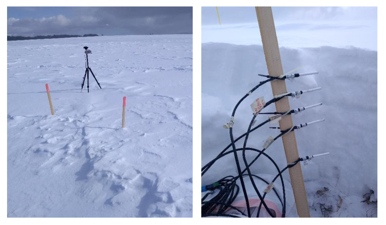 Snow temperature sensor setup at snow pit 2S10: (left) tripod-mounted thermal ifrared radiometer to measure snow surface, (right) temperature probes to be buried beneath the snow surface. (Photos by Steven Pestana)
