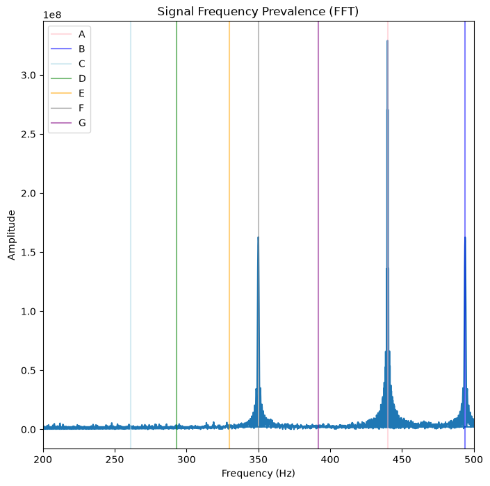 <Figure size 800x800 with 1 Axes>
