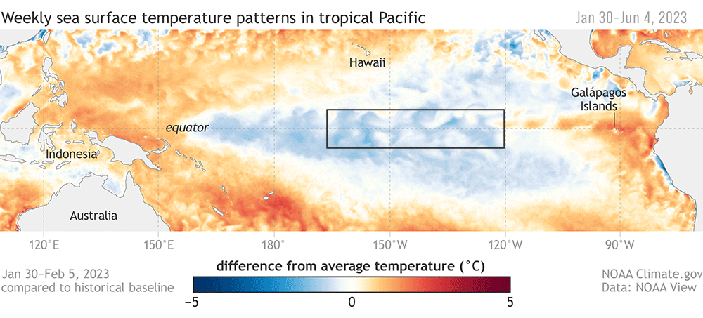 Weekly Sea Surface Temperature Patterns from NOAA
